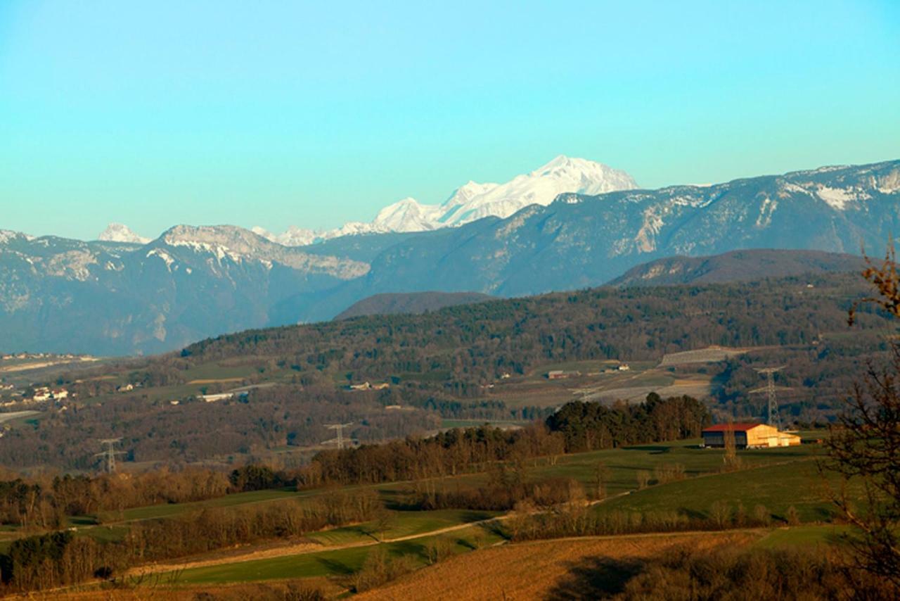 Le Manoir Bed & Breakfast Chaumont  Dış mekan fotoğraf